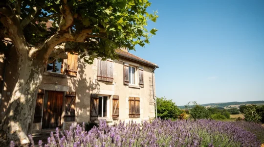 Maison provençale avec volets fermés et végétation ombragée en pleine journée d'été