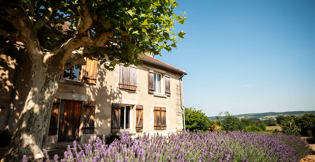 Maison provençale avec volets fermés et végétation ombragée en pleine journée d'été